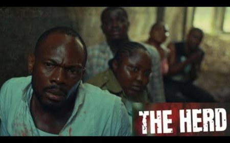 Nollywood’s ‘The Herd’ Sparks Arewa Outrage - Fictional Profiling vs. Fatal Reality Explained