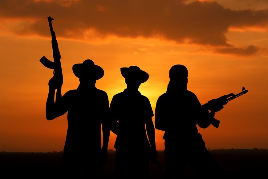 New school abduction deepens fears across Nigeria’s north - Here's why