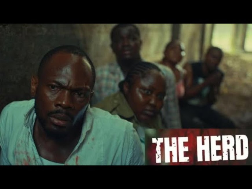 Nollywood’s ‘The Herd’ Sparks Arewa Outrage - Fictional Profiling vs. Fatal Reality Explained